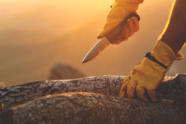 What To Look For When Choosing Hunting Knives
