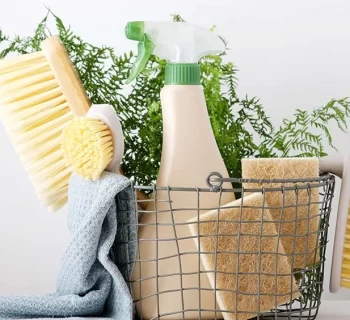eco cleaning products
